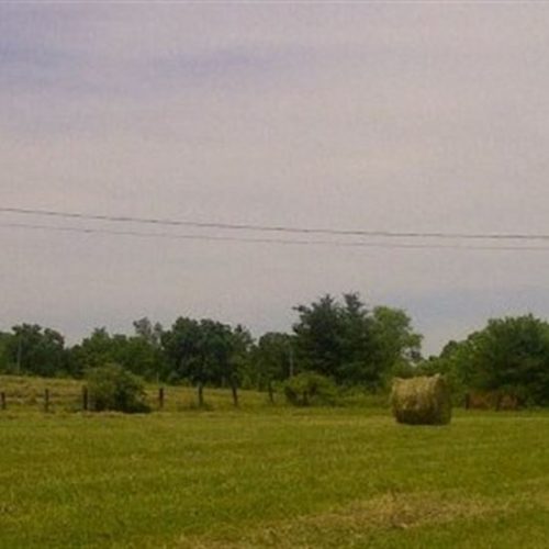 For the Love of Hay